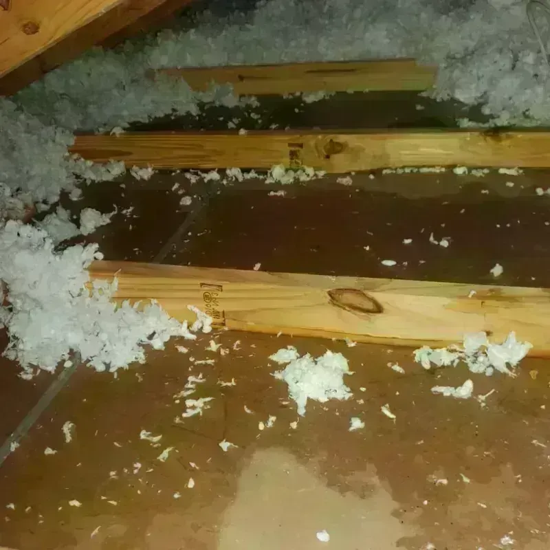 Attic Water Damage in Weston, MO